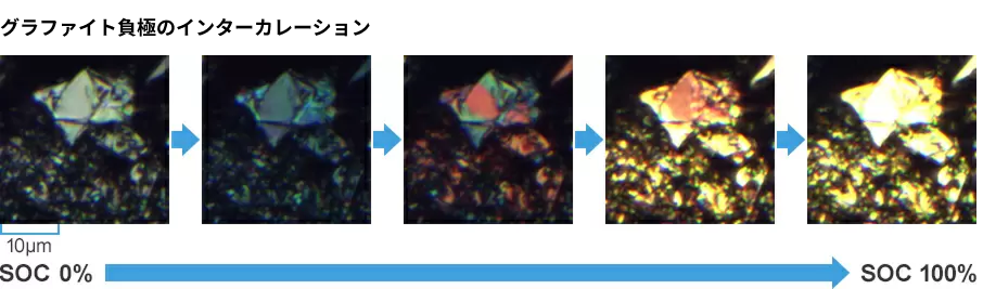 反応分布解析
