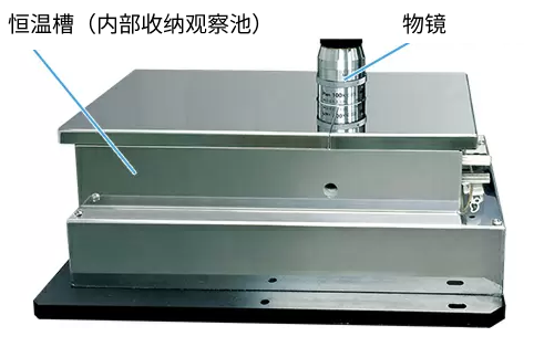 温度控制系统